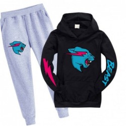 Size is 3T-4T(110cm) Mr Beast Lightning Cat Long Sleeve hoodies Sets for kids Sweatshirts and Sweatpants