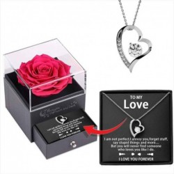 Size is one Size Hollow zircon love hollowed out necklace for girlfriend with rose box