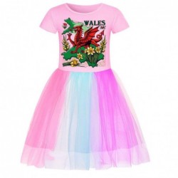 Size is 2T-3T(100cm) daffodil wales flag Summer dress for girls Short Sleeves Rainbow Dress