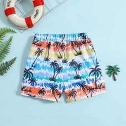 Size is 6M-12M Coconut palm Print blue beach shorts beach shorts For boys