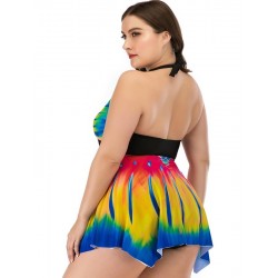 Size is L Plus Size Rainbow Conservative Tankinis Two Piece Swim Dress