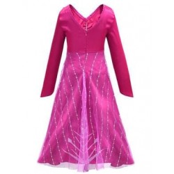 Size is (4Y-5Y)/S Girls Frozen 2 Elsa Dress Halloween Costumes For Kids Rose Red