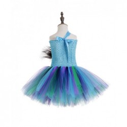 Size is 3T 1St Birthday Outfit Peacock Princess Tutu Costume Dress For Girl