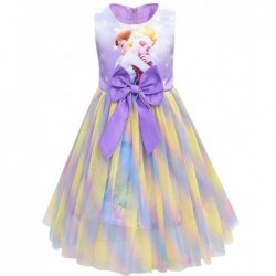 Size is (4Y-5Y)/S Elsa And Anna Dress With Rainbow Bow Front For Girls