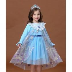 Size is (3T-4T)/XS Frozen 2 Elsa Dress Costumes With Cloak For Girls Purple