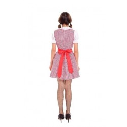 Size is M Beer Festival Maid Halloween Costume Beer Girl Costume Red