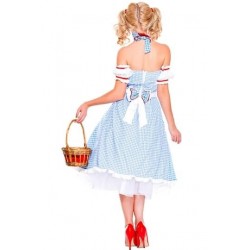Size is One Size Sexy Adult Alice In Wonderland Dress Costume Light Blue  For Womens